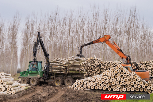 Под Костромой откроется крупный инвестиционный проект в области переработки древесных материалов